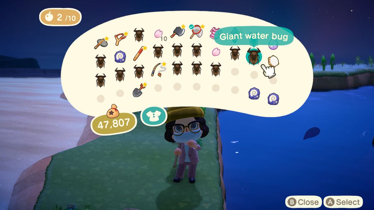 Tarantula island is ruined by water bugs